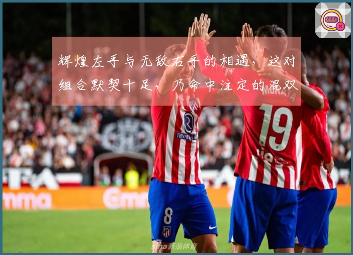 辉煌左手与无敌右手的相遇，这对组合默契十足，乃命中注定的混双冠军！