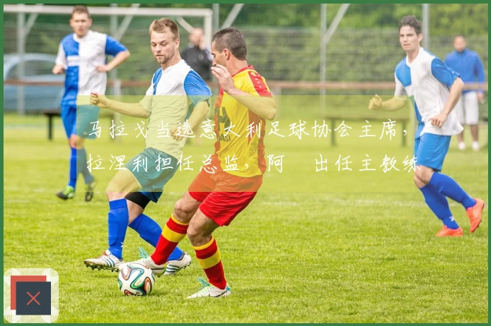 马拉戈当选意大利足球协会主席，拉涅利担任总监，阿囧出任主教练