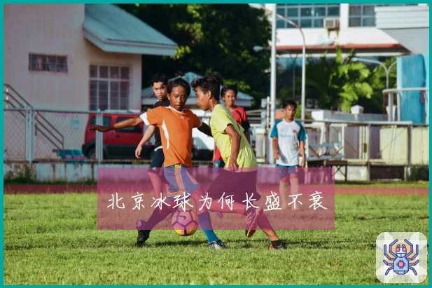 北京冰球为何长盛不衰